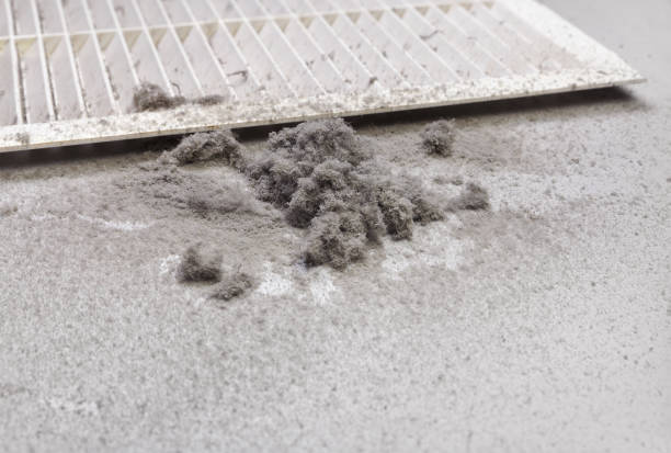 Best Air Duct Mold Removal  in Wauwatosa, WI